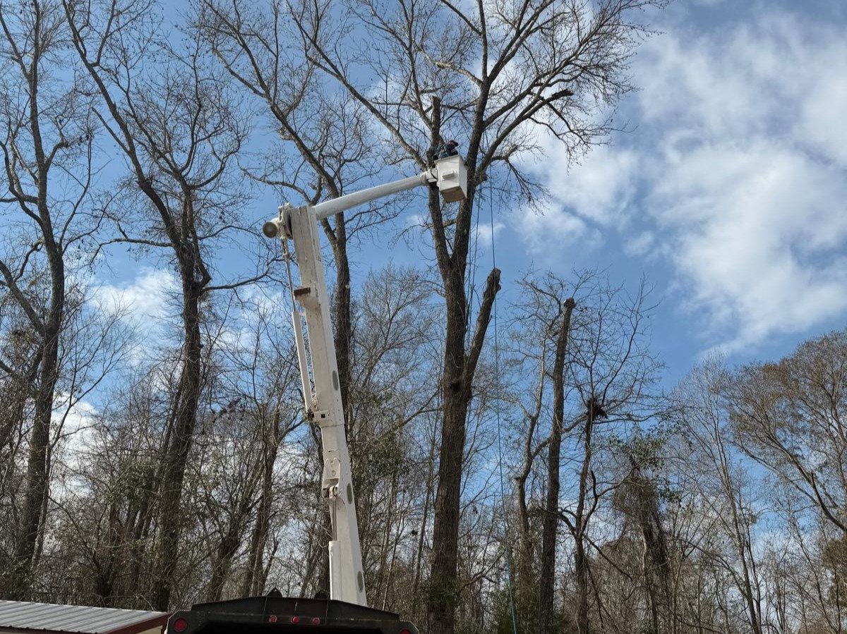 El Costeño Tree Service LLC